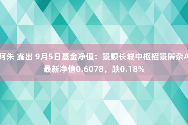 阿朱 露出 9月5日基金净值：景顺长城中枢招景羼杂A最新净值0.6078，跌0.18%